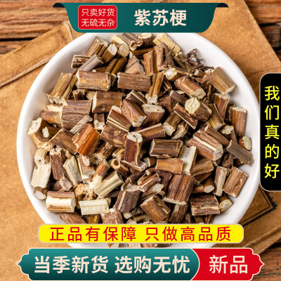 甄选紫苏梗100克正品货煮水苏梗无硫新货另售陈皮青皮9260