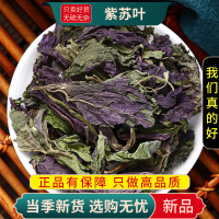 甄选紫苏叶100克正品货泡茶苏叶无硫干货另售甘草山楂9260