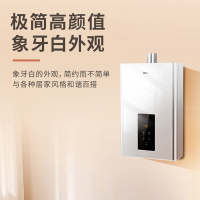 01名气燃气热水器JSQ31-R5A36-16