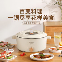 创维/SKYWORTH 4L 两档旋转调节 多功能家用电火锅 F220
