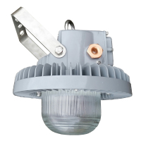 立华王 LH6100-B 30W IP65 电压AC220V 光源色温5700K LED泛光工作灯 单位:个 银灰