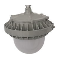 立华王 LH6100C-C 60W IP65 电压AC220V 光源色温5700K LED强光工作灯 (计价单位:个)