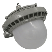 立华王LH6100C-B 50W IP65电压AC220V光源色温5700K LED强光工作灯(计价单位:个) 银灰色