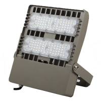 立华王 LH6420-C 100W IP65 电压AC220V 光源色温5700K LED泛光工作灯 (计价单位:个)