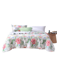 富安娜(fuanna)七孔抗菌印花夏被巧若芙蓉 203*229cm(单位:个)