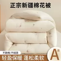 新疆棉花被冬季加厚保暖冬被3754