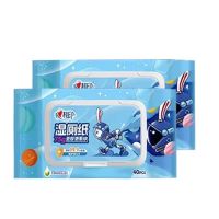 恒安心相印XAY040湿厕纸40片DL12包/箱