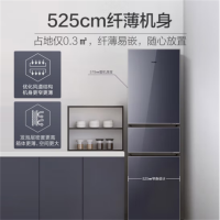 海尔(Haier) 冰箱BCD-218WGHC3R9B9