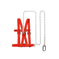 水龙珠(SHUILONGZHU) 高空作业安全带 户外施工保险带 安全绳 单扣 2m