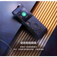 科大讯飞智能录音笔SR201录音转文字 32G