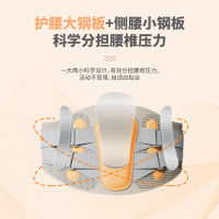 摩飞 腰部固定器 LG-YB02 常规款L 个