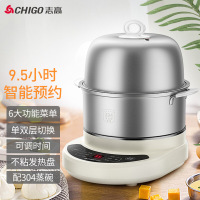 志高(CHIGO) ZDQ138 煮蛋器不锈钢蒸蛋器家用迷你自动断电微电脑预约定时双层蒸蛋机