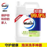 威露士 泡沫洗手液青柠盈润5L 1瓶