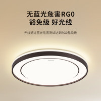松下吸顶灯客厅灯大灯具套餐全屋led灯饰大气卧室灯 圆形 36W