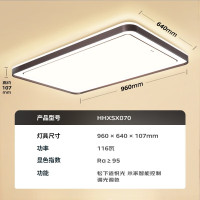 松下吸顶灯客厅灯大灯具套餐全屋led灯饰大气卧室灯 长方形 116W