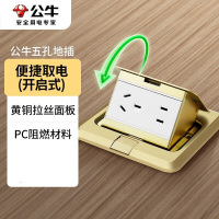 公牛(BULL)地插座嵌入式隐藏式不锈钢内嵌地面地板装饰隐形地脚插座(含底盒) [五孔10A]全铜 开启式