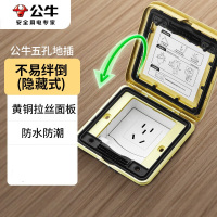 公牛(BULL)地插座嵌入式隐藏式不锈钢内嵌地面地板装饰隐形地脚插座(含底盒) [五孔10A]全铜 翻盖式
