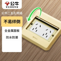 公牛(BULL)地插座嵌入式隐藏式不锈钢内嵌地面地板装饰隐形地脚插座(含底盒) [十孔10A]金色 推拉式