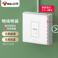 公牛(BULL)明装开关面板 电源走明线 无需底盒 一位电脑插座10只