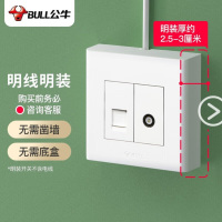 公牛(BULL)明装开关面板 电源走明线 无需底盒 电视+电脑插座10只