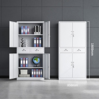 圣隆苏 钢制办公室资料档案柜财务凭证柜收纳整理带锁储物柜中二斗铁门柜 宽850*深390*高1800mm