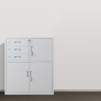 圣隆苏 钢制办公室资料档案柜财务凭证柜收纳整理带锁储物柜偏三内保矮柜 宽850*深390*高1000mm