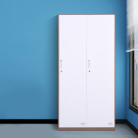 圣隆苏 员工更衣柜套色换衣柜健身房咖白黑色白色存包柜浴室带锁储物柜 二门咖白套色 高1850*宽900*深500mm