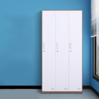 圣隆苏 员工更衣柜套色换衣柜健身房咖白黑色白色存包柜浴室带锁储物柜 三门咖白套色 高1850*宽900*深500mm
