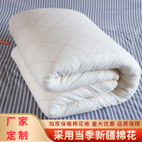 福禄克 龙眠花棉絮棉胎棉被垫被四季被芯加厚棉花被子 1.5米*2米 4斤