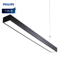 飞利浦(Philips) LED线条灯 RC095V LED26S 28W (起订量1只)