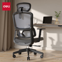 得力(deli)91021人体工学电脑椅 双背头枕可调办公椅 升降扶手居家椅 黑框