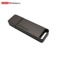 联想(thinkplus)256GB USB3.1高速传输U盘 移动闪存金属商务便携U盘 TU100灰色