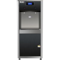 圣托(Shentop)STK-D2 直饮机商用 全自动开水机 学校医院直饮水机 一开一温热水器 电热开水器(单位:台)