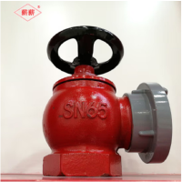 薪薪室内消防栓SN65 室内栓 消防阀门2.5寸消火栓水带阀门