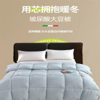 紫韵200*230cm玻尿酸大豆被盖被(单位:床)
