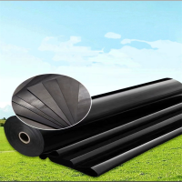 固成13M长*12M宽*30S PE聚乙烯塑料薄膜防渗膜 防尘防雨布大棚膜土工膜(单位:块)