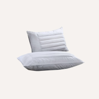 伊伊爱48*74cm二代荞麦枕 单只 白色 YZYSJD0241853