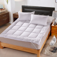 伊伊爱200*90cm交织棉床垫 床上用品床垫棉花铺被