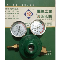 青岛国胜 YQD-06 2.5×25MPa 氮气减压器