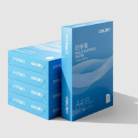 得力 白令海A4打印纸 70g500张*5包一箱 7753