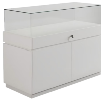 東業家具(DONGYE FURNITURE)NL-ZSG01展览展柜展示柜文件柜 800*500*900mm