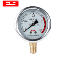 富阳(FY)华仪仪表 YTN-100 0~4MPa 耐震压力表