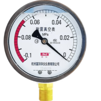 富阳(FY)华仪仪表 YZ-100 -0.1~0MPa 压力真空表