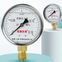 匡建仪表(CONJANT)YTN-60耐震压力表0-0.16mpa充油抗震型测气压油压液压