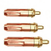 国胜 丙烷割嘴 G01-30 1# 5只/盒