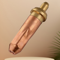 隆興(LONG XING) 乙炔割嘴 G01-30 2# 10只/盒