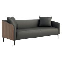 臻远ZYJJ-80218 简约办公沙发洽谈接待沙发休闲沙发组合 西皮三人位1900*820*720(张)