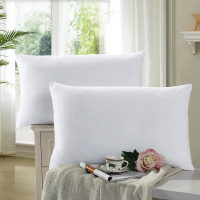 蕙艺舒适枕芯枕头单只装枕芯床上用品 低枕普通实用款