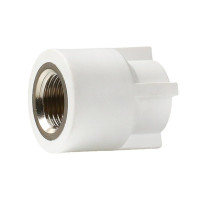 联塑 LESSO PPR配件内螺纹直接头Ⅰ型 白色 dn25×1/2