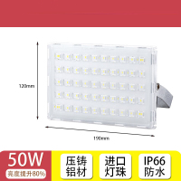 沣广 LED泛光灯 50W 1个